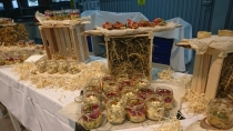 Primer_rabot (7) Primer_rabot (7)